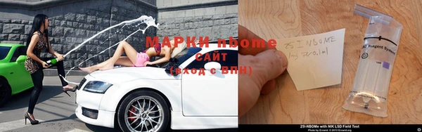 индика Белокуриха
