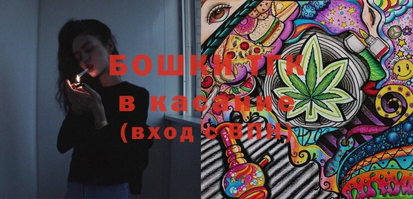 индика Белокуриха