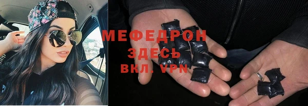 индика Белокуриха