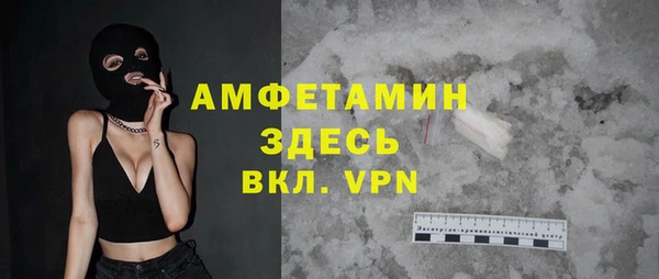 индика Белокуриха