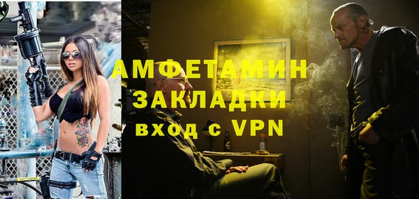 индика Белокуриха