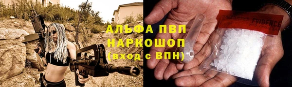 индика Белокуриха